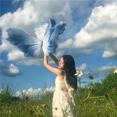 老蒲的春夏秋冬